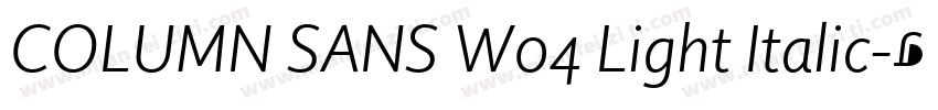 COLUMN SANS W04 Light Italic字体转换